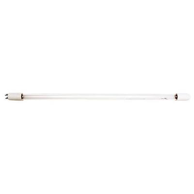 PURTEST P204-810 Lamp,Use w/Mfr. No. PT 20