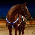 USB Charging Modelsa Tow Three Charging Wires Harness Auxiliary Horse Breastplate Nylon Webbing