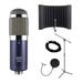 MXL R144 Ribbon Microphone Bundle with sE Electronics RF-X Pop Filter Stand Cable