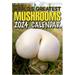 World s Greatest Mushrooms 2024 Calendar Wall Calendar 11.7x8.3 Inches Funny Wall Calendar 2024 Wall Art Humor Gag Gift Prank Calendar White Elephant Gift Christmas Gifts