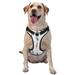 Bingfone Nautical Lighthouse Sailboat No Pull Dog Vest Harness For Small Medium Large Dogs Strap For Puppy Walking Training Dog Harness-Small