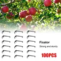 100Pcs Fruit Tree Branches Holder Fruit Branch Spreader Tree Branch Support Frame For Strong Branch