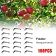 100Pcs Fruit Tree Branches Holder Fruit Branch Spreader Tree Branch Support Frame For Strong Branch