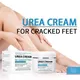 Cleft Foot Urea Cream Split Foot Urea Cream for Cracked Feet Keeps The Skin Moisturizing Can of Skin