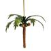 Tropical Coconut Palm Tree Capiz Shell Holiday 8 Inch Ornament - Green