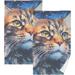 Dreamtimes Long Hair Cat Bathroom Towels 2 Pieces 16Ã—28 inches Cotton Bath Towel Water Absorbent Lightweight Quickdry Towels for Bathroom Ktichen Travel Gym