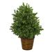 Silk Plant Nearly Natural 23 Sweet Grass Artificial Plant in Basket (Indoor/Outdoor)