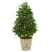 Silk Plant Nearly Natural 39 Bay Leaf Cone Topiary Artificial Tree in Farmhouse Planter