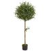 Silk Plant Nearly Natural 5 Olive Topiary Artificial Tree