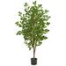 Silk Plant Nearly Natural 5 Oak Artificial Tree