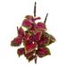 Silk Plant Nearly Natural 23 Coleus Bush Artificial Plant (Set of 6)