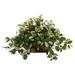 Silk Plant Nearly Natural Hoya Artificial Plant in Decorative Planter