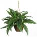 Silk Plant Nearly Natural Boston Fern Silk Hanging Basket