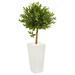 Silk Plant Nearly Natural 4 Olive Topiary Artificial Tree in White Planter UV Resistant (Indoor/Outdoor)
