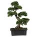 Silk Plant Nearly Natural Cedar Bonsai 24 Silk Plant