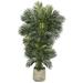Silk Plant Nearly Natural 6.5 Golden Cane Artificial Palm Tree in White Planter