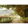 Red Barrel Studio® Autumn On A Country Road Canvas | 8 H x 12 W x 1.25 D in | Wayfair 8B2C7C219ADB429B97A5CE225F796D0A