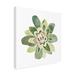 Bungalow Rose Succulent Cameo XI On Canvas by June Erica Vess Print Canvas in Gray/Green/White | 14 H x 14 W x 2 D in | Wayfair