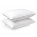 Alwyn Home Lobos Health Medium Polyester/Polyfill Bed Pillow Polyester/Polyfill/100% Cotton | 20 H x 36 W x 6 D in | Wayfair