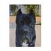 Winston Porter Pet Portrait Of Genghis The Cane Corso On Canvas by Steve Crockett Canvas Art Metal | 24 H x 32 W x 2 D in | Wayfair