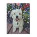 Winston Porter Pet Portrait Of Little Ozz The Pomeranian Poodle Cross On Canvas by Steve Crockett Canvas Art Metal | 24 H x 32 W x 2 D in | Wayfair