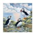 Winston Porter Puffins On Cliff On Canvas by Tracy Miller Canvas Art Canvas | 14 H x 14 W x 2 D in | Wayfair E73FDEB9C8644D288C0D87F68EE24BDB