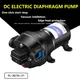 DC 12V/24 Volts Fully Automatic RV Water Pump 2.8GPM 17PSI 10L Electric Yacht Boat Self Priming