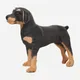 32cm Lifelike Dog Plush Toy Realistic Stuffed Animals Rottweiler Dog Plush Toys Kids Toys Gift For