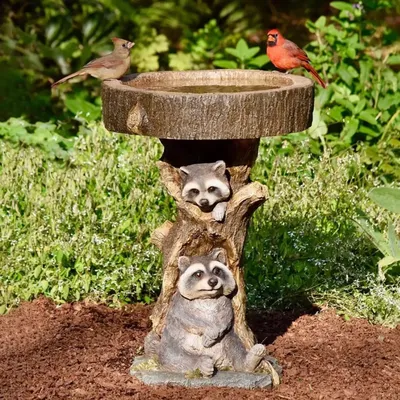 Resin Raccoon Birdbath Polyresin Antique Garden Bird Bath For Home Garden Yard Garden Decoration