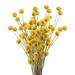 33pcs Natural Dried Flowers Yellow Balls Dried Flowers Boho Flowers Dried Floral Arrangements for Thanksgiving Home Kitchen Table Wedding Party Office Decor (16.14 Inch)