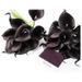 BULYAXIA 10pc Set of Real Touch Calla Lily-Keepsake Artificial Calla Lily with Small Perfect for Making Bouquet Boutonniere Corsage.Quality Keepsake Artificial Flower (Plum)