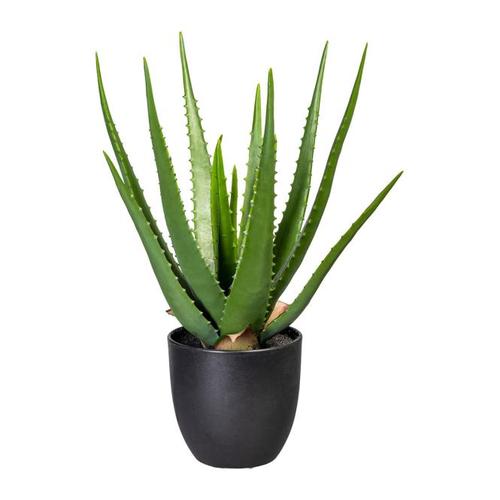 Kunstpflanze Aloe Vera, 47 cm