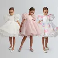 Mode Mädchen Prinzessin Vintage Kleid Tüll Kind Vestido Puff Ärmel rosa Hochzeits feier Geburtstag