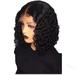 XIAQUJ European and American Short Curly Hair African Small Curly Head Fiber Head Cover Wigs for Women Black