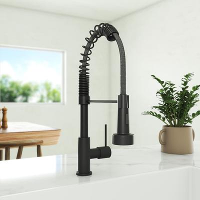 Randolph Morris Kitchen Faucet With Pull Down Spring Spout and Pot Filler RMTB086-MB