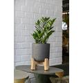 Finestgreen Charlie Feet Low | Handgefertigtes Pflanzgefäß auf Holzfüßen (XXL Ø:47 H:62,5 cm, Schwarz) | Pottery Pots