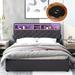 Button-Tufted Upholstered Platform Bed Frame Storage Bed with Height Adjustable LED Headboard & USB Charging & 2 Drawers