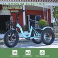 ABORON 20 x 4.0 Fat Tire Electric Bike for Adults 500W Ebike with 48V 14.5Ah Removable Lithium Battery Aluminum Electric Bicycle Step-Thru Ebikes for Adults All-Terrain with Big Basket