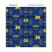 University Of Michigan TIE DYE Flannel Fabric-Sold By The Yard-College Flannel Fabric