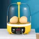 4 Eggs Incubator Mini Egg Hatcher Manual/Automatic Incubation Brooder Automatic Egg Turning Farm