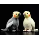 18cm Kleine Echt Leben Gelb Nymphensittich Plüsch Spielzeug Extra Weiche Papagei Gefüllte Vögel Tier