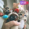 Simpatici e interessanti giocattoli fatti a mano kit di gatti in feltro di lana fai da te bambola di