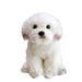 TITOUMI 10 Inch White Dog Plush Small Maltese Stuffed Animal Stuffed Dogs That Look Like Real Small Maltese Puppies