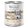 Wolf of Wilderness Adult ""Expedition"", 6 x 800 g - Mossy Miles - Pollame con coniglio