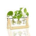 Terrarium with Wooden Stand 3 Glass Bulb Vase Desktop Glass Planter Vase Display Tabletop Wedding Decoration