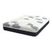 Twin 12" Gel/Foam Mattress - Alwyn Home Cerqueira Plush Gel Memory Foam | 80 H x 39 W 12 D in Wayfair 18CD4C15C77D47238C46F22E3F4F73C4