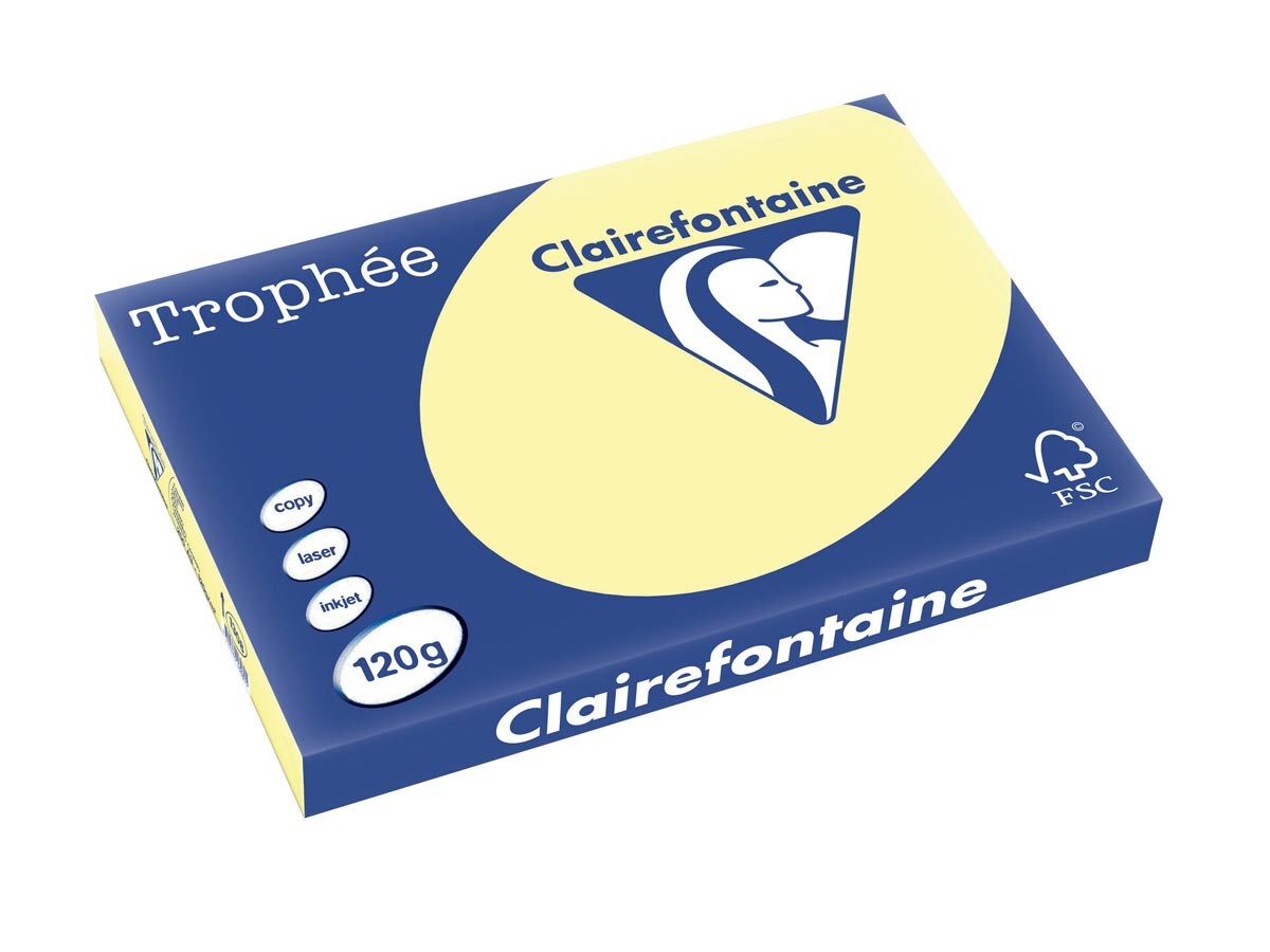 Clairefontaine Kopierpapier 1308C A3 120g ge 250Bl Image