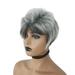 ã€–SUCSã€—Natural Light Gray Straight Short Hair Wigs Short Women s Fashion Wig New