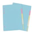 NUOLUX Dividers 6 Binder Plastic Pocket Dividers Plastic File Folders Label 2pcs 2 Sets