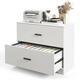 Costway 2-Drawer Wood Lateral File Cabinet with Adjustable Bars for Home Office White